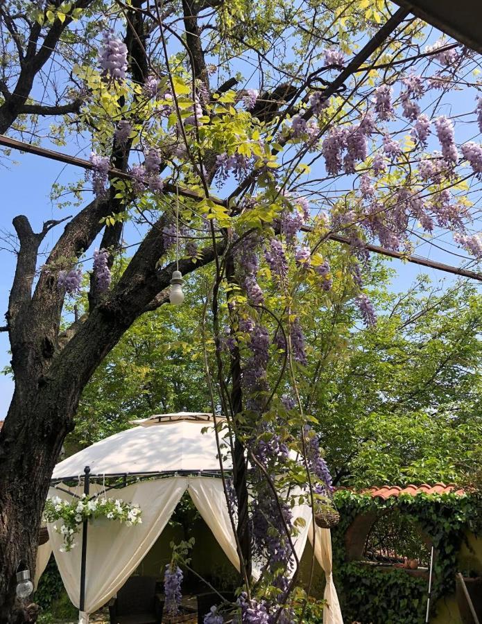 Lux Garden Home D Куманово Екстериор снимка